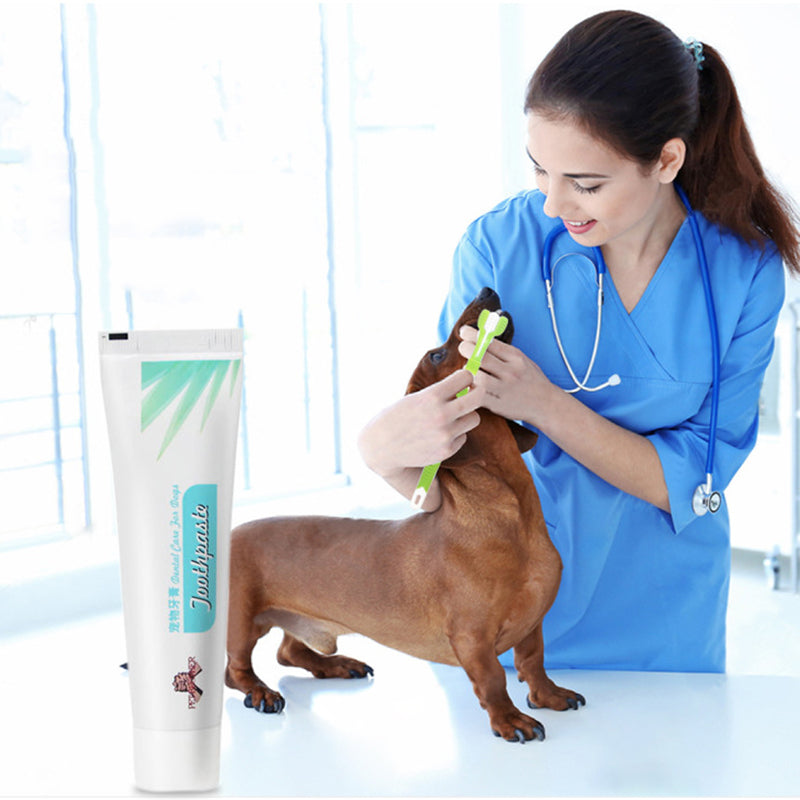 宠物牙刷牙膏套装猫长短刷头牙刷香草味口腔清洁产品套装 【牙膏75g+长柄牙刷+短柄牙刷】