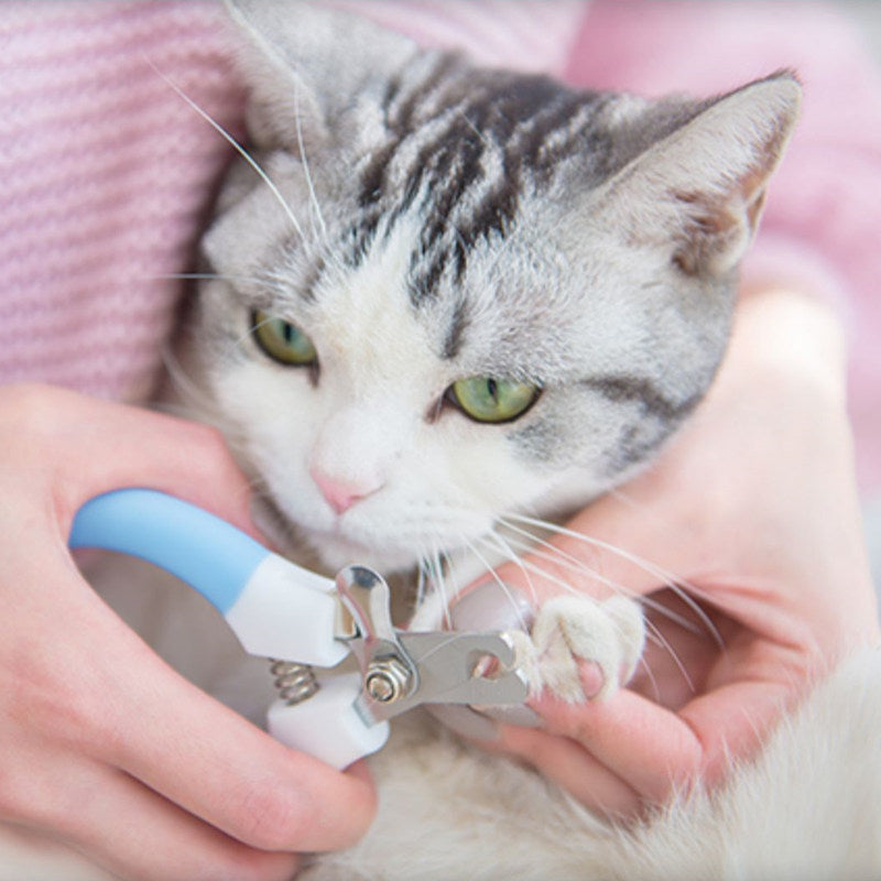 貓指甲剪 不銹鋼貓指甲剪 寵物美容 狗指甲鉗 小貓爪剪 指甲剪 貓用磨刀器