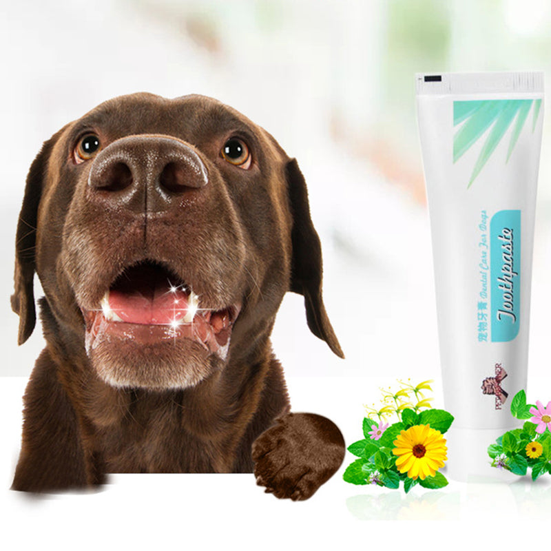 宠物牙刷牙膏套装猫长短刷头牙刷香草味口腔清洁产品套装 【牙膏75g+长柄牙刷+短柄牙刷】