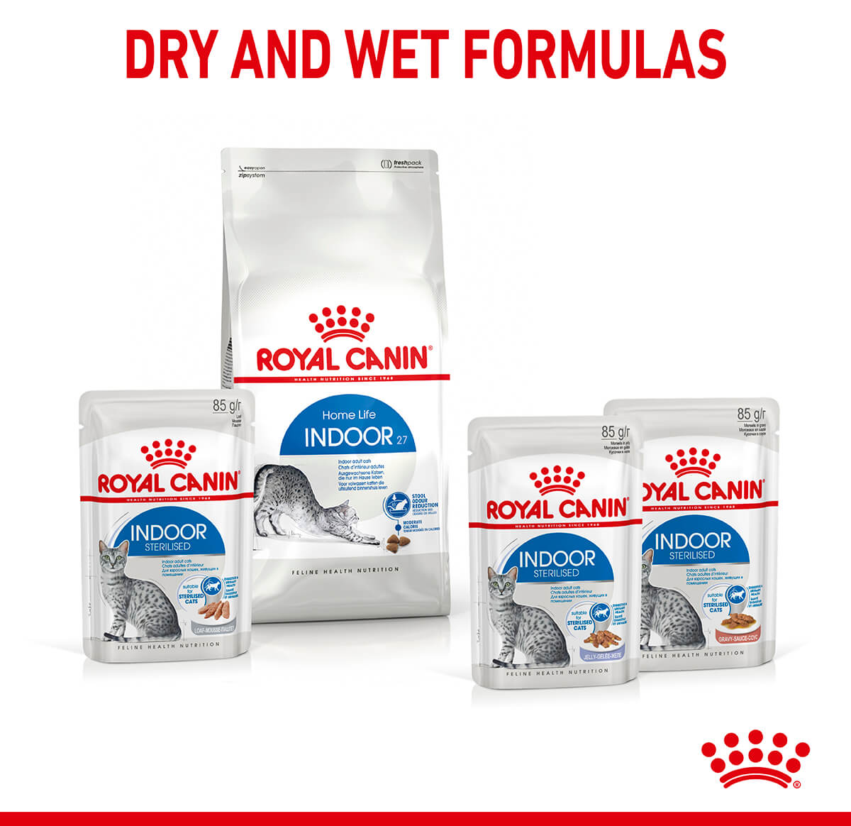 Royal Canin 室內果凍濕貓糧 85g