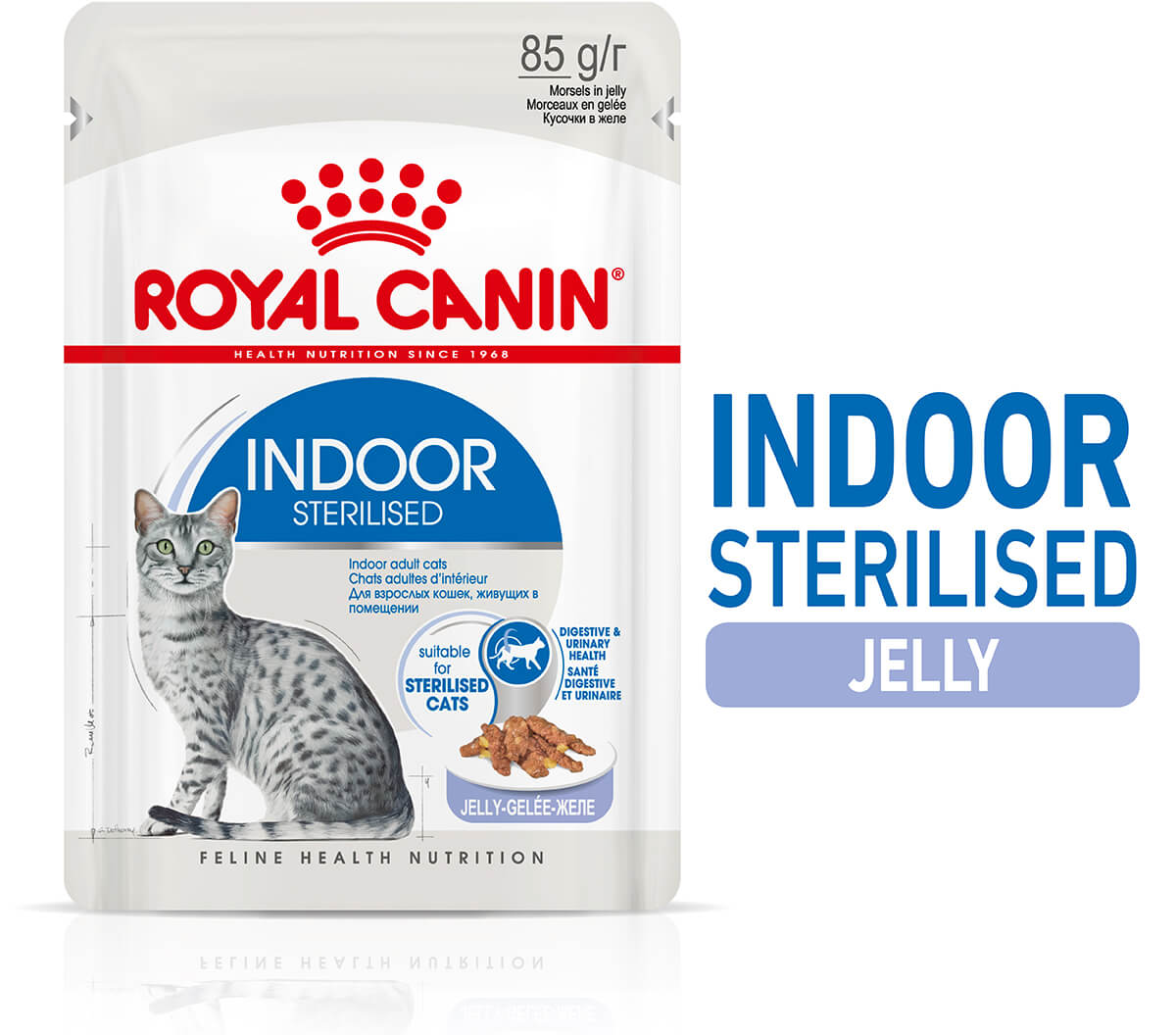 Royal Canin 室內果凍濕貓糧 85g