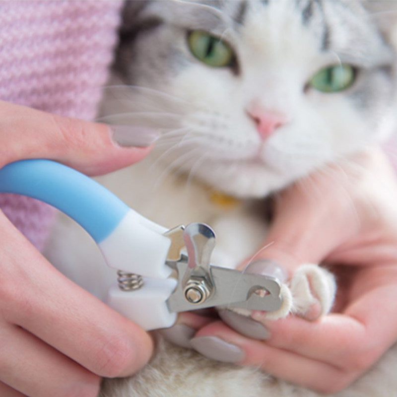 貓指甲剪 不銹鋼貓指甲剪 寵物美容 狗指甲鉗 小貓爪剪 指甲剪 貓用磨刀器