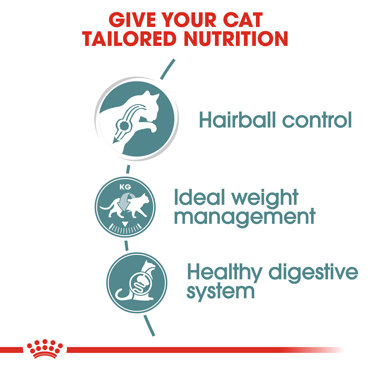 Royal Canin 毛球成人肉汁濕貓糧 85g