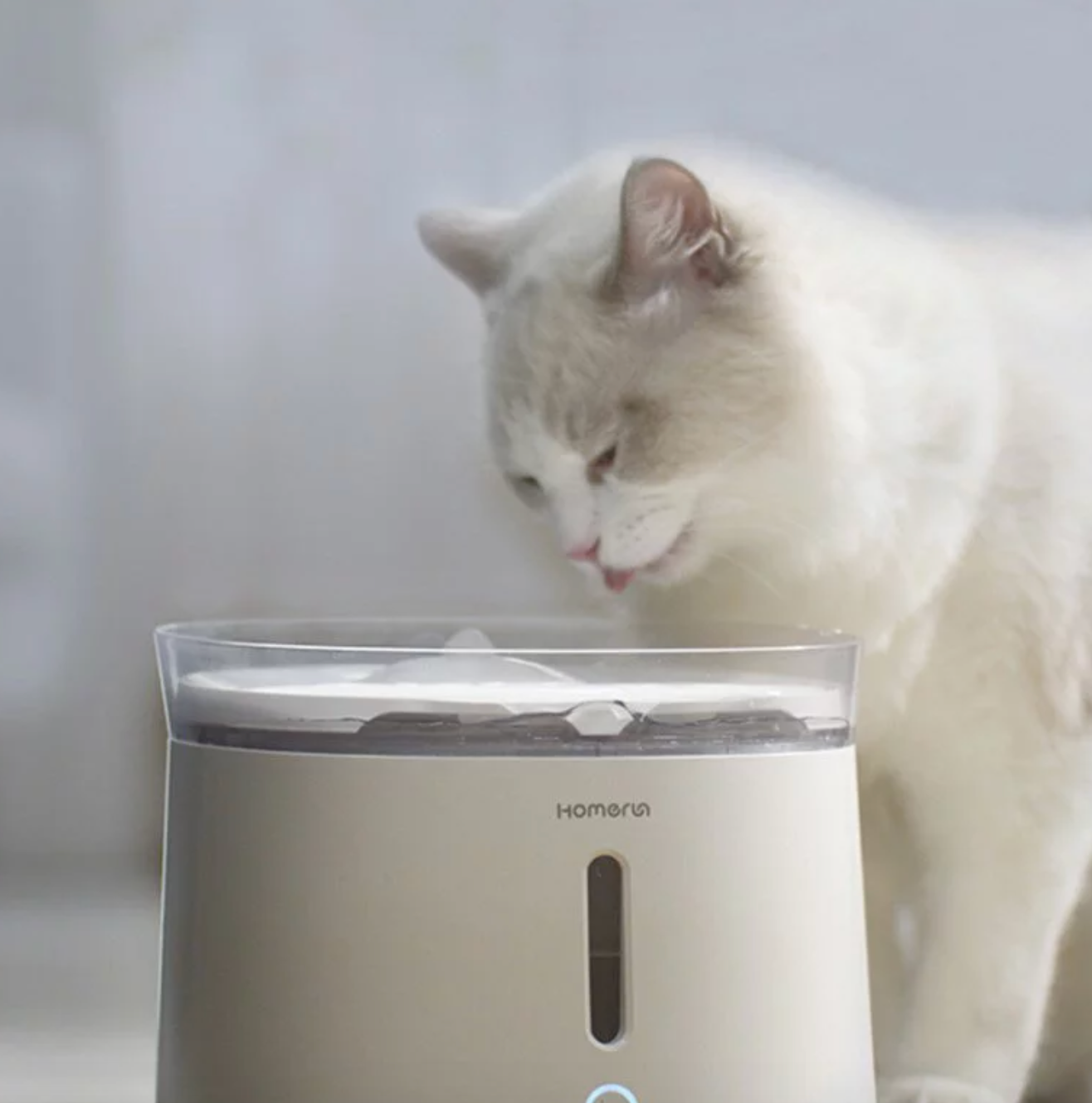 Homerun 無線水泵寵物飲水機